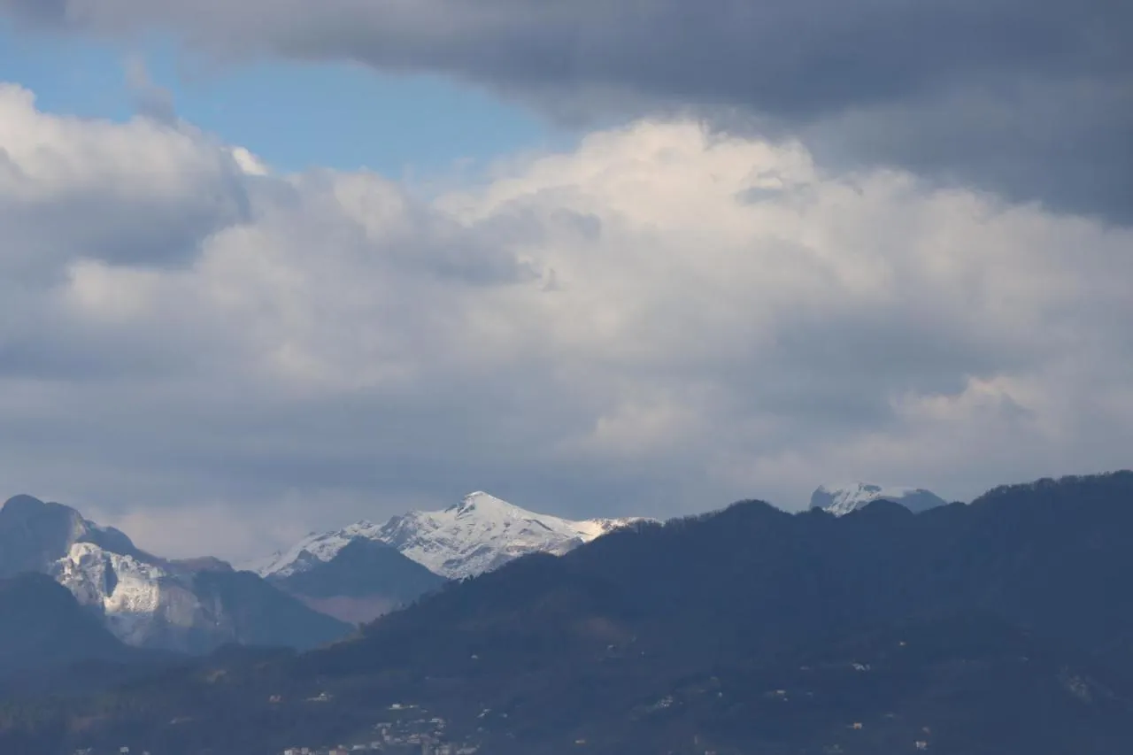 Myricae Villa Viareggio Holiday home